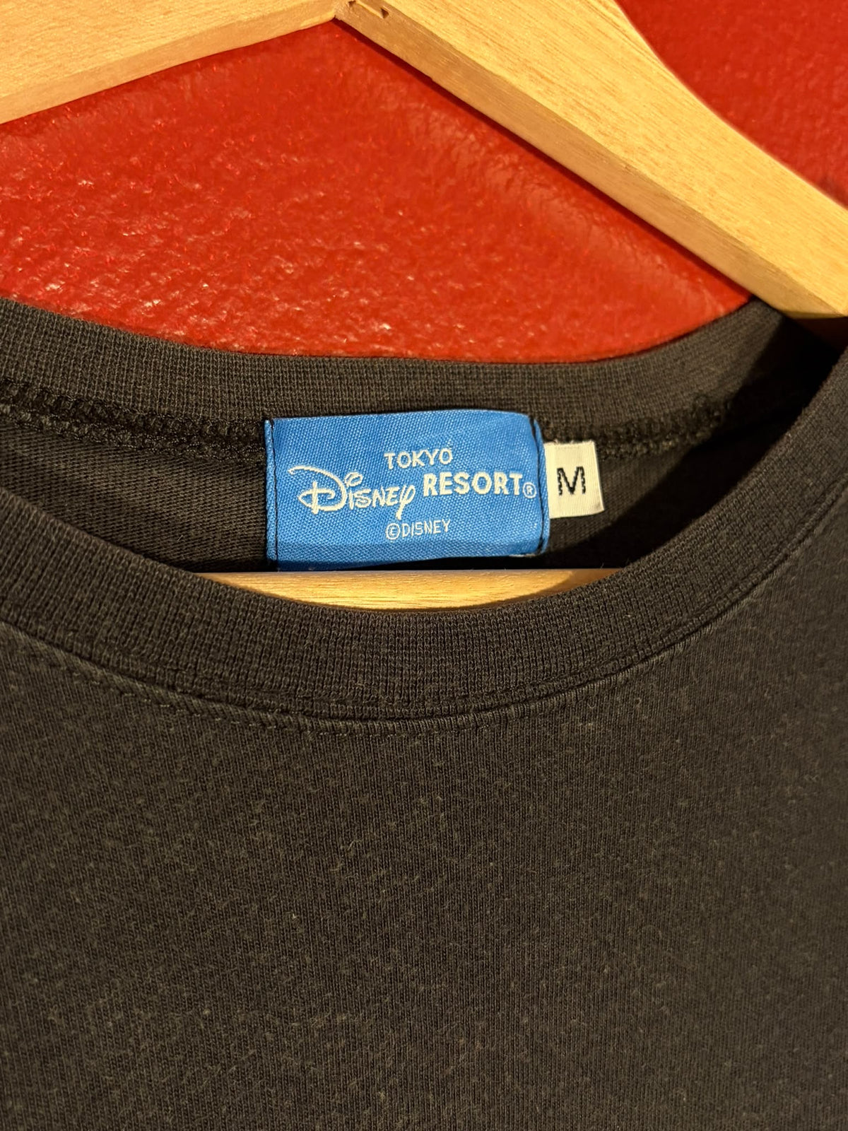 Tokyo Disney Resort Donald Duck Hot Hot Hot Graphic T-Shirt - M