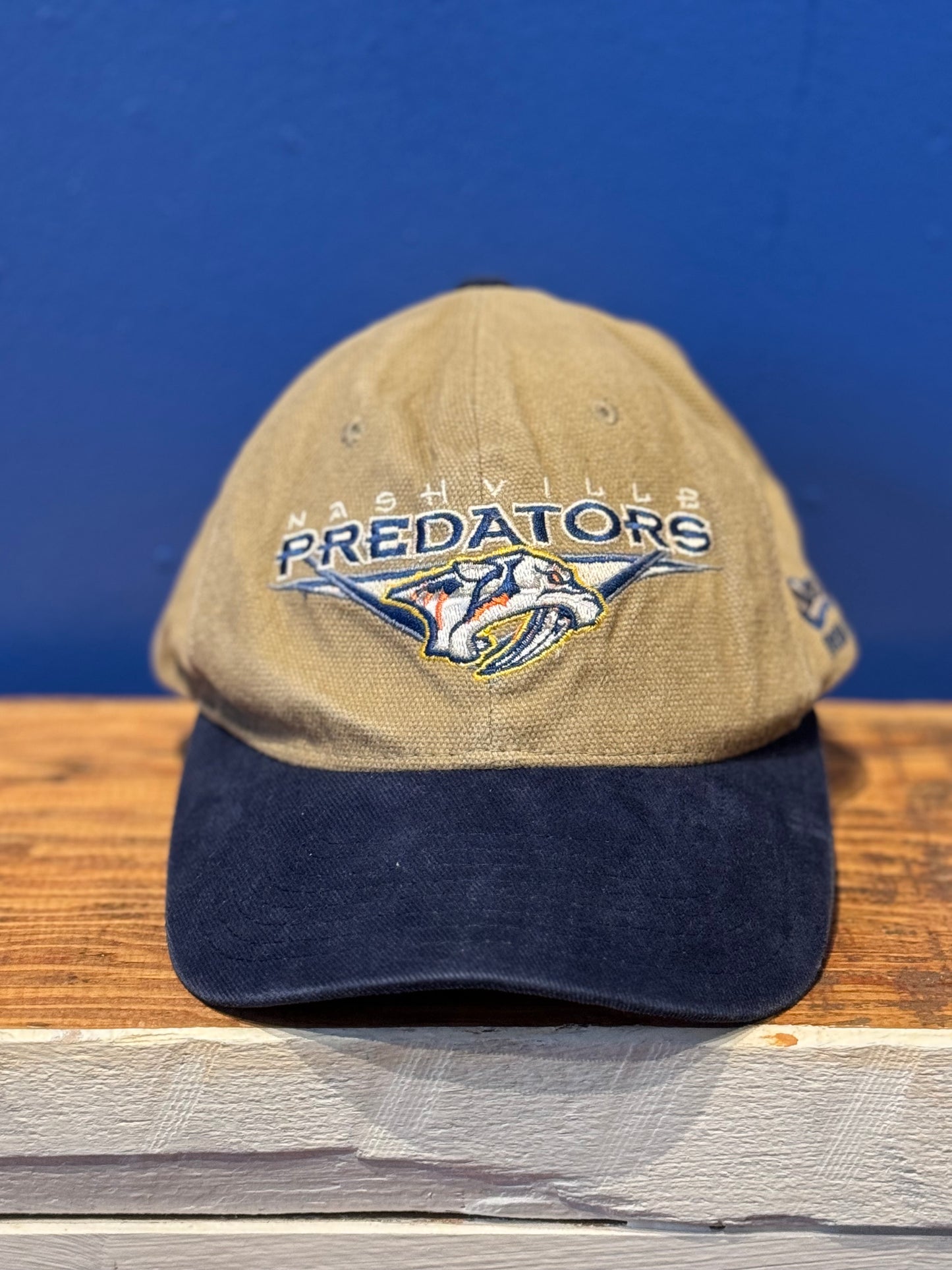 Nashville Predators Hat