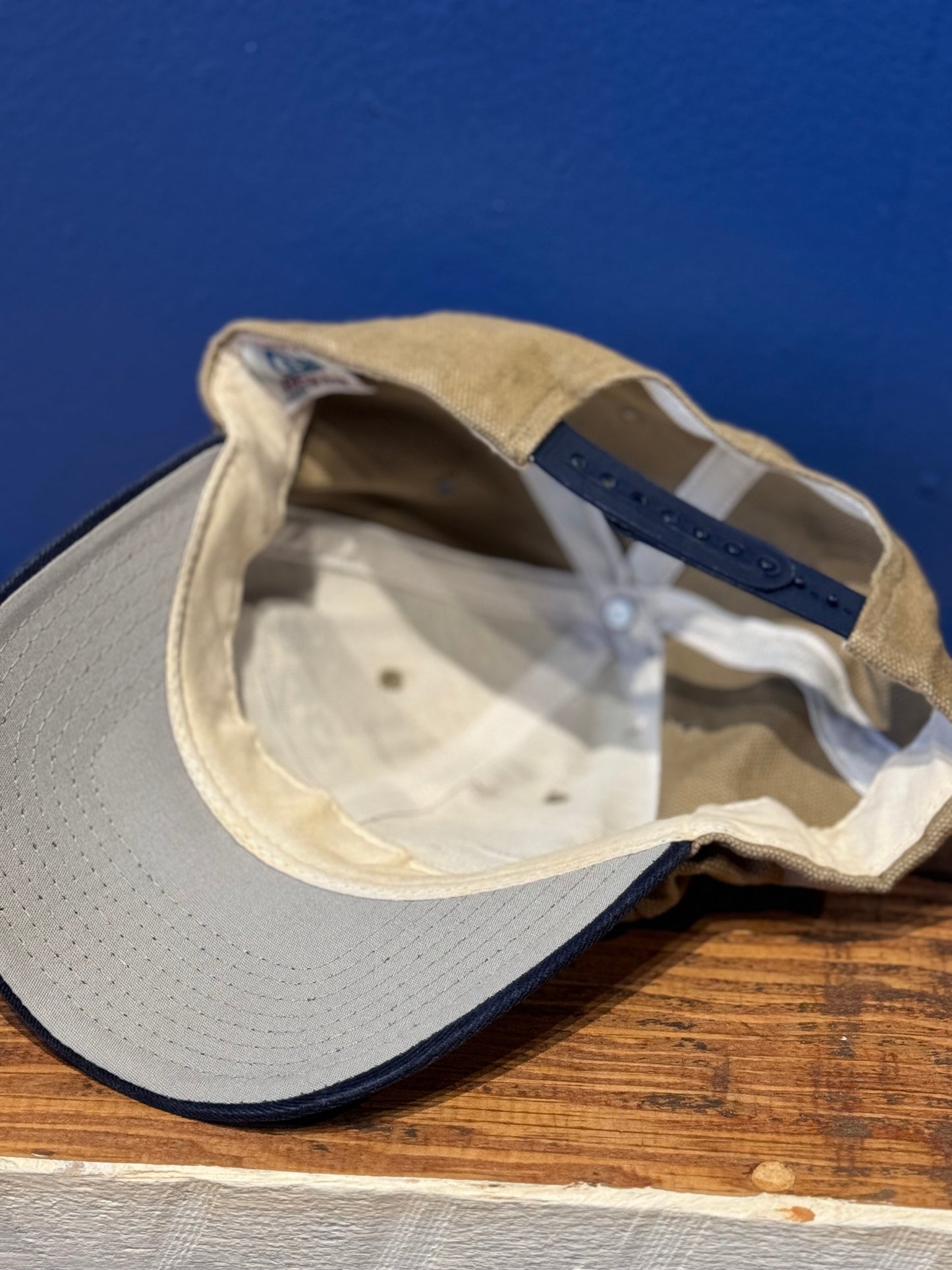 Nashville Predators Hat