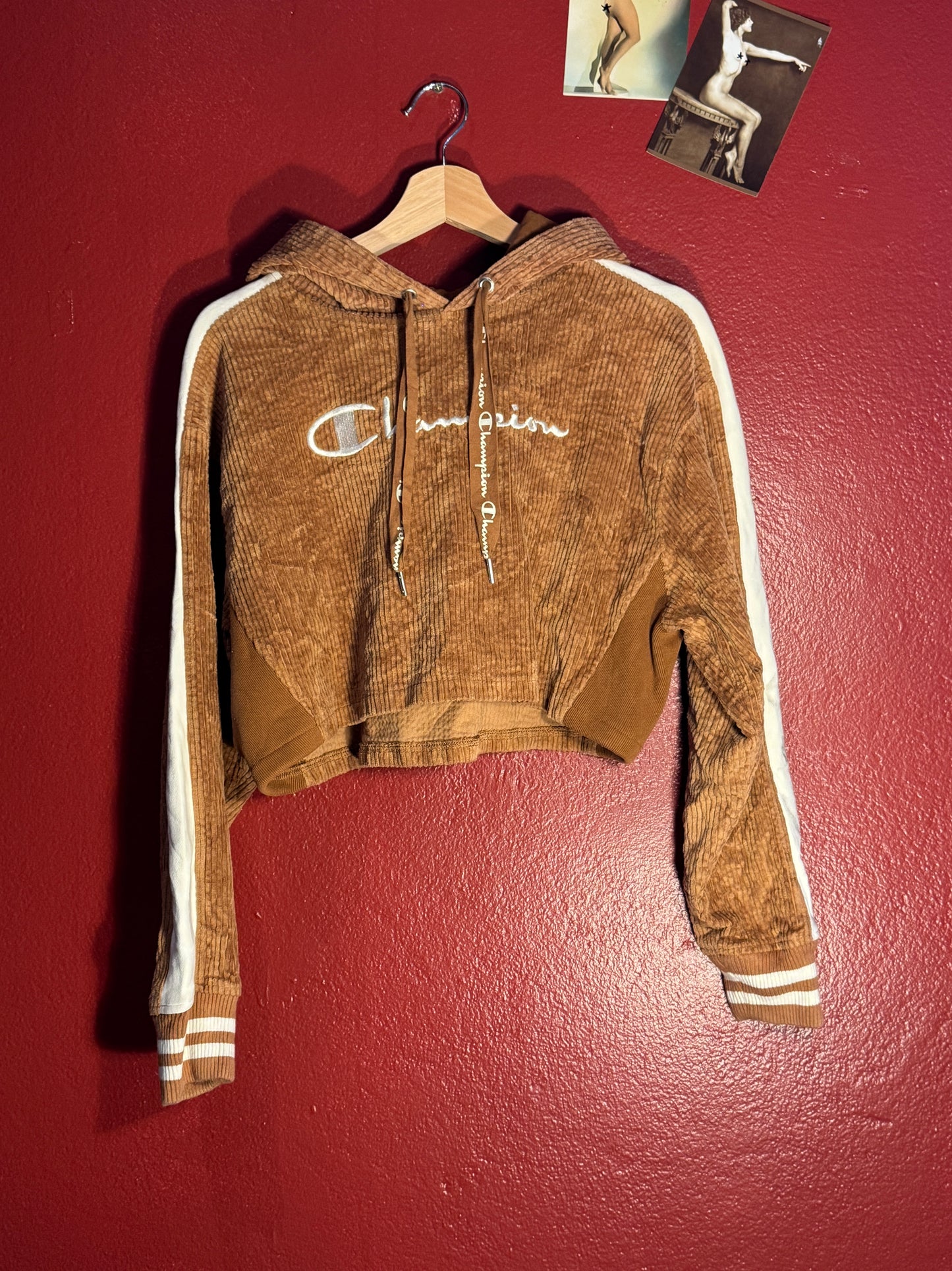 Champion Reverse Weave Cropped Chenille Hoodie (S)