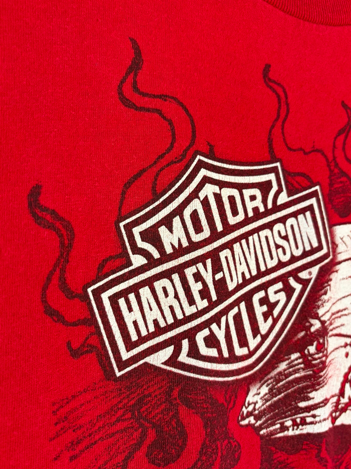 Harley-Davidson Skull Bandana Graphic T-Shirt [XL]