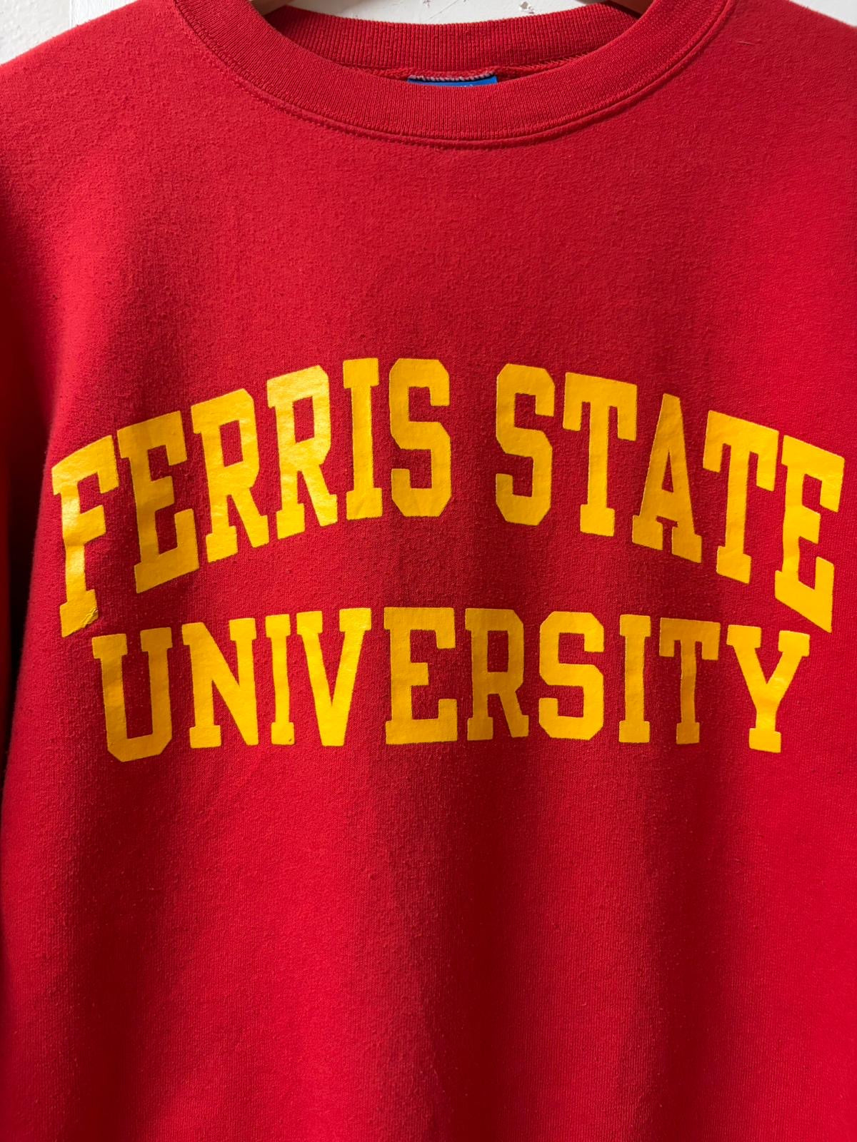 Champion Ferris State University Crewneck Jumper [S]