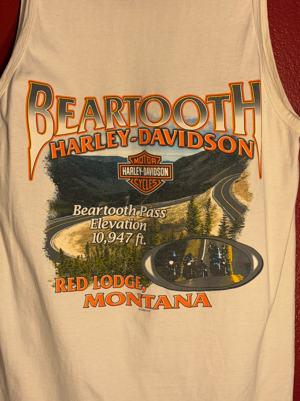 Vintage 2005 Harley-Davidson Beartooth Montana Tank Top [L]