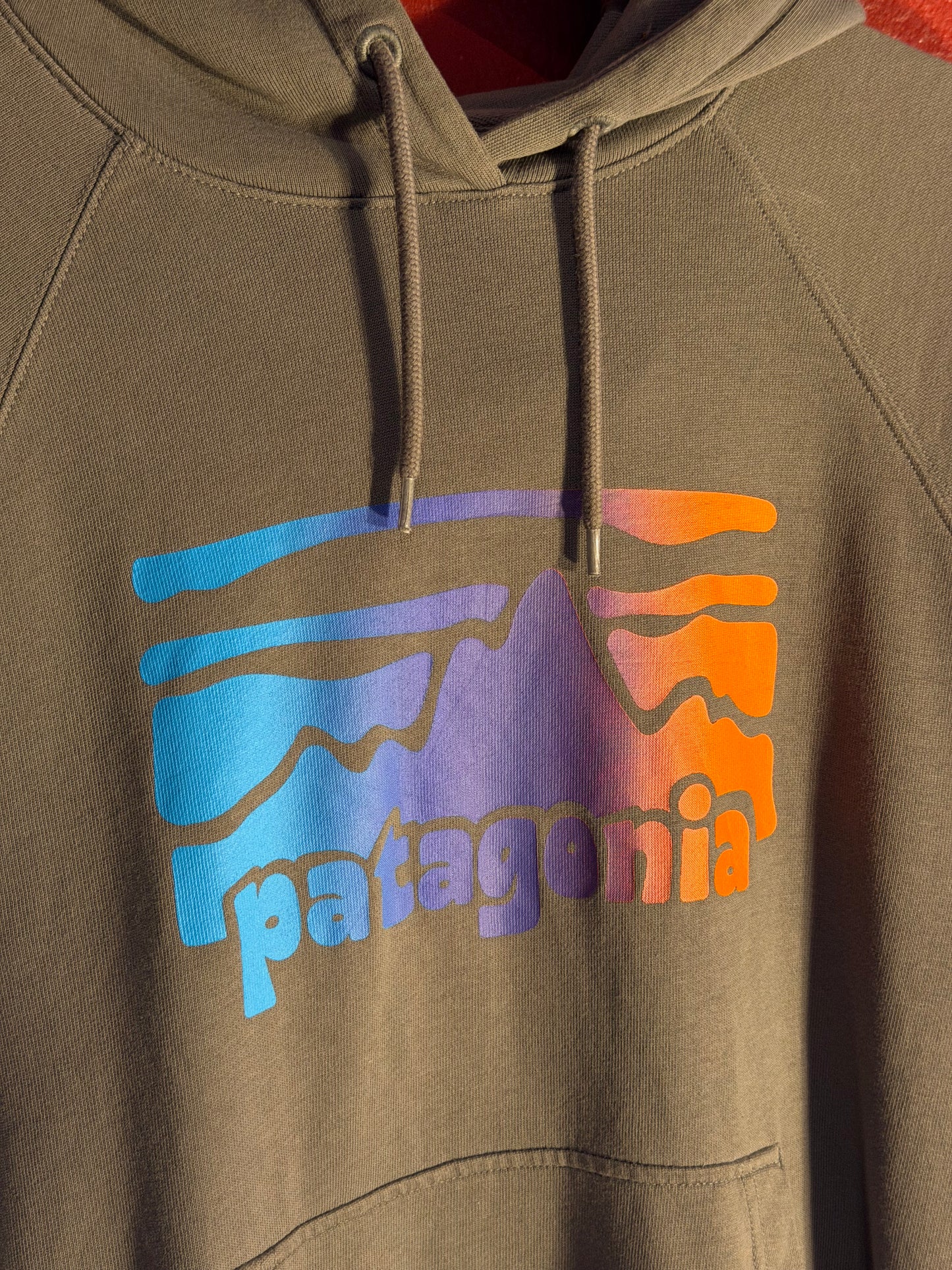 Patagonia Charcoal Hoodie [M]