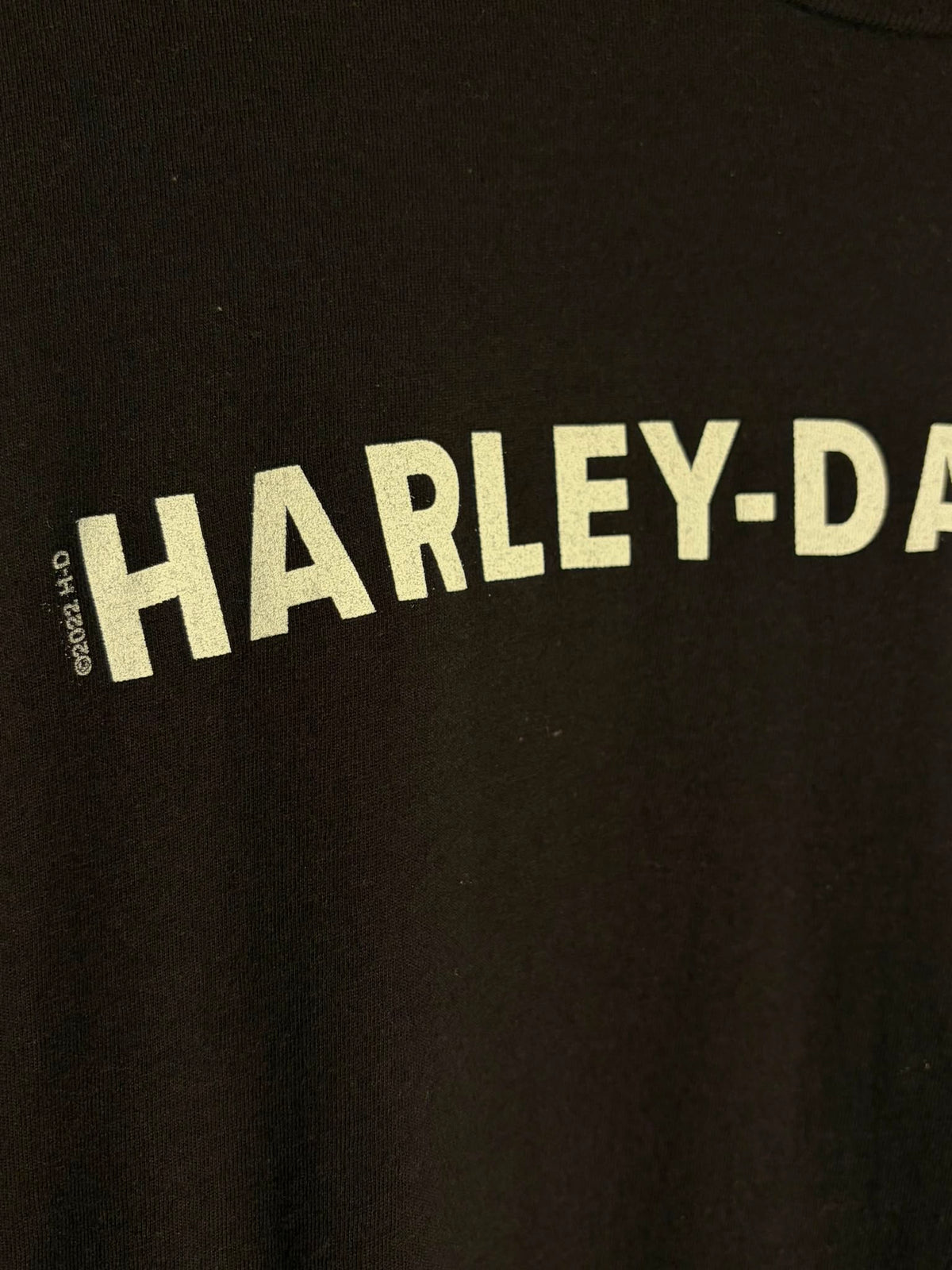 Harley-Davidson Colboch Veterans Overlook T-Shirt [XL]