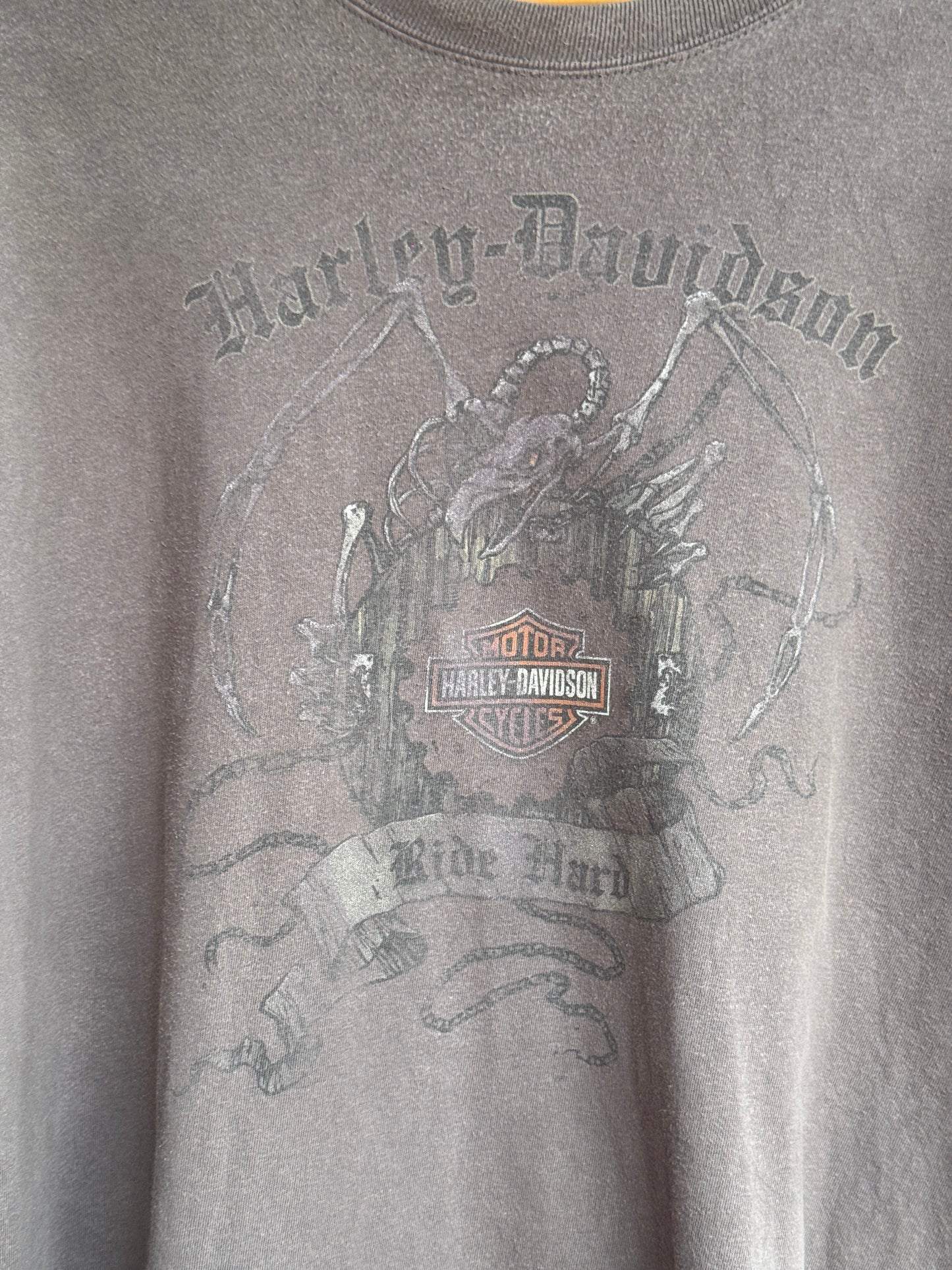 Harley Davidson Vintage Tee - Apache Junction, Arizona [2XL]