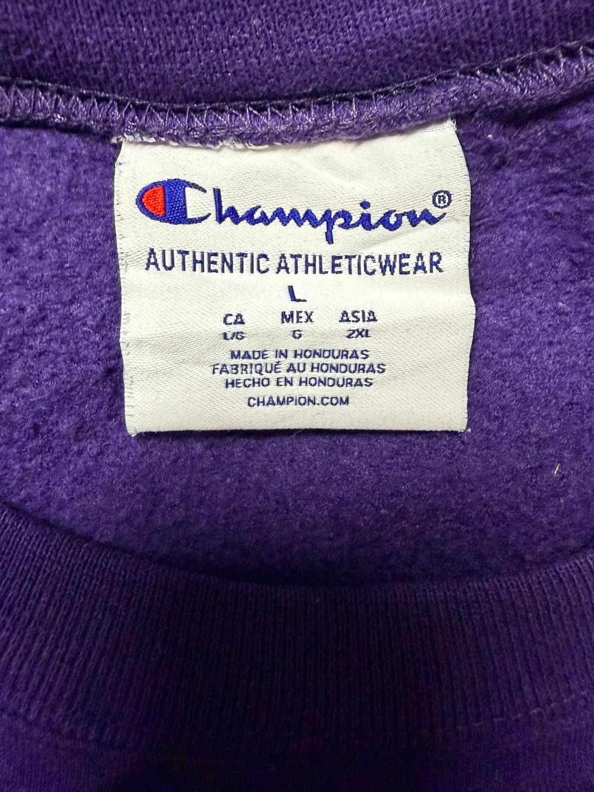 Champion Minnesota State Hoodie [L]