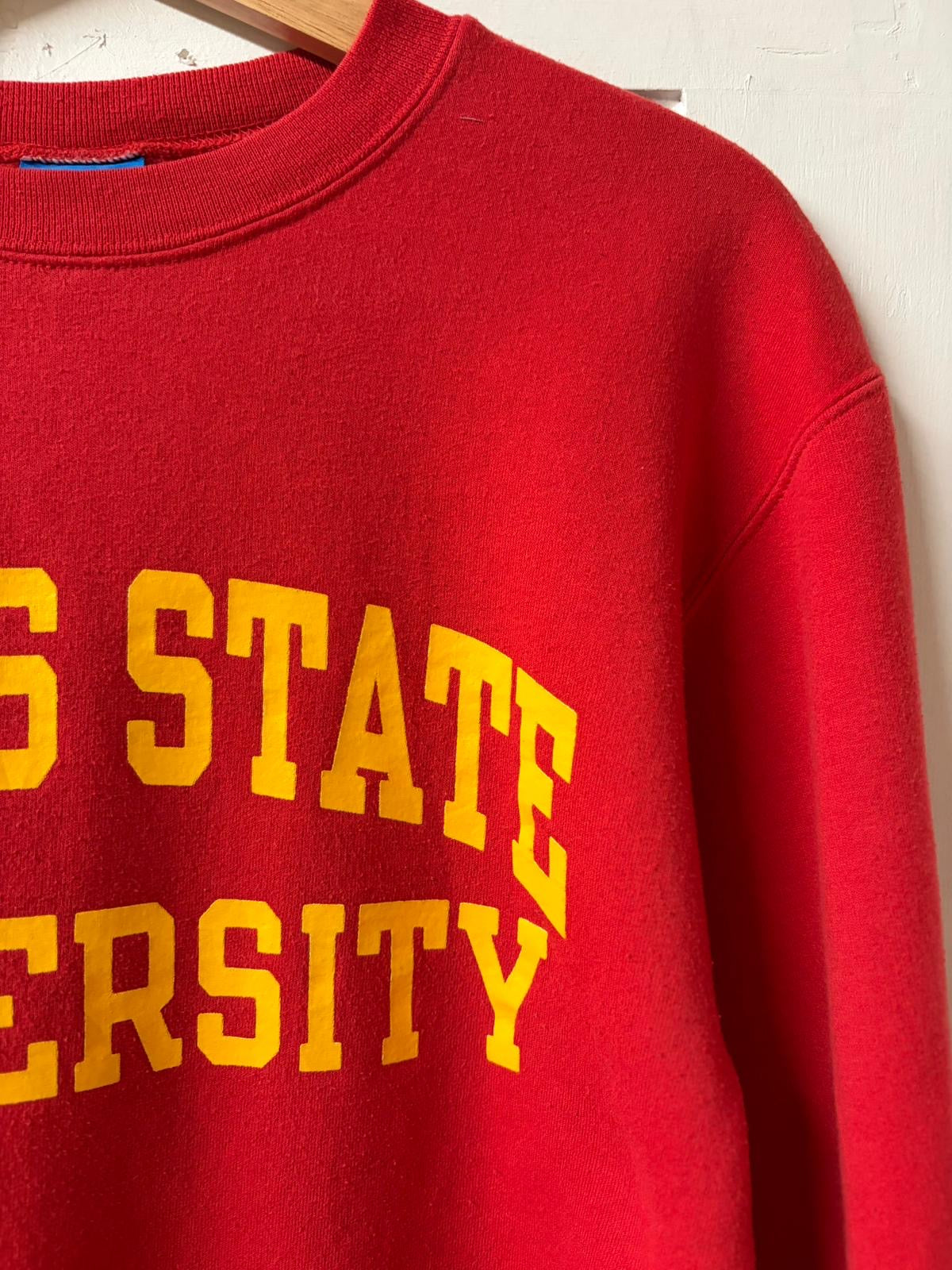 Champion Ferris State University Crewneck Jumper [S]