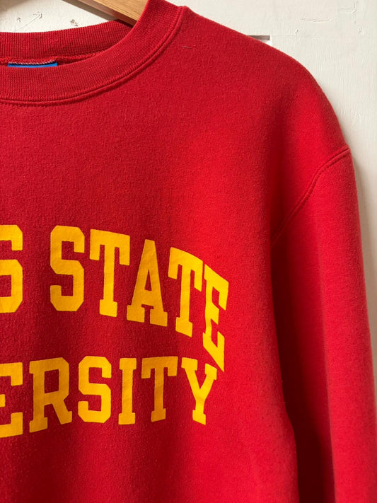 Champion Ferris State University Crewneck Jumper [S]