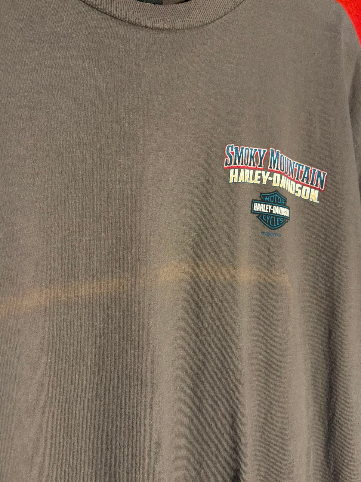 Harley-Davidson Smoky Mountain Graphic T-Shirt [L]