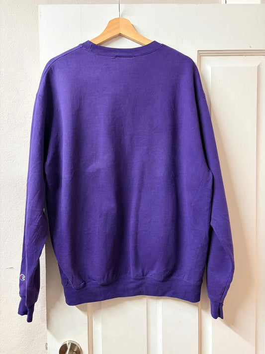 Champion Minnesota State Hoodie [L]