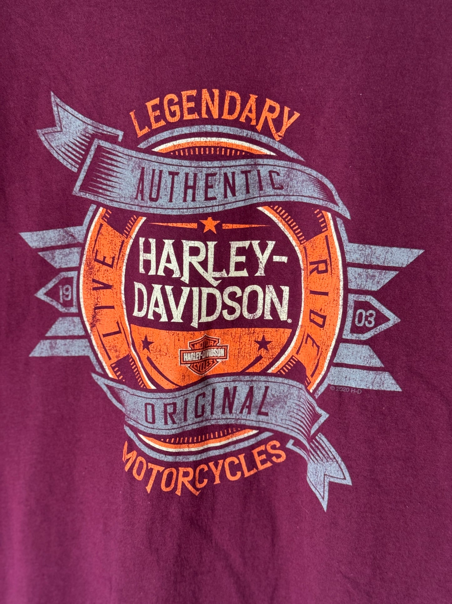 Harley Davidson Vintage Tee - Winchester VA [XL]