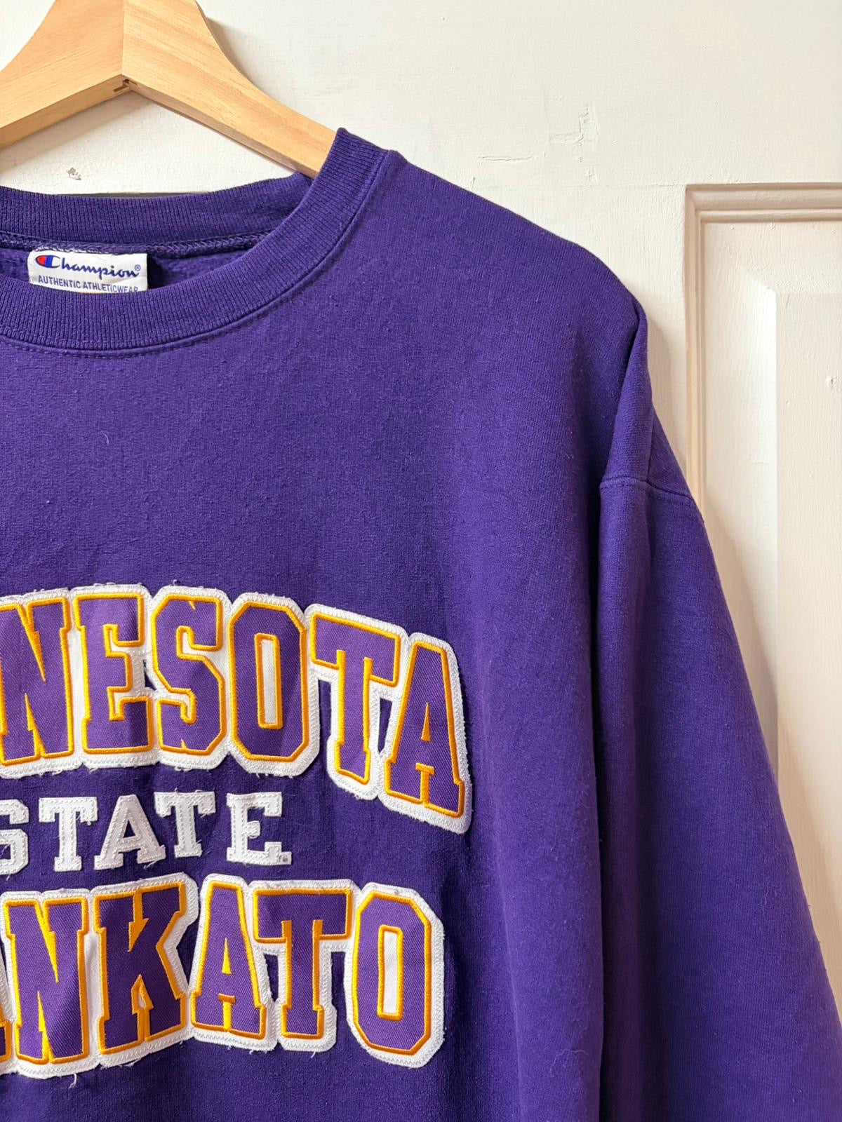 Champion Minnesota State Hoodie [L]