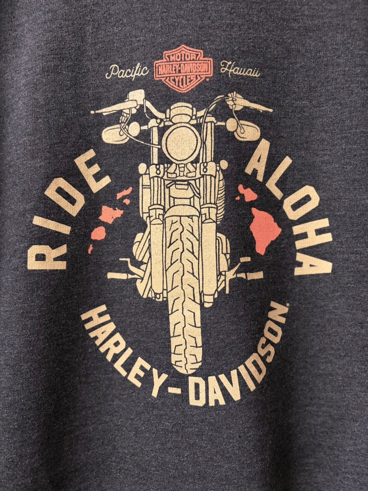 Harley Davidson Pacific Hawaii Crewneck Jumper [M]