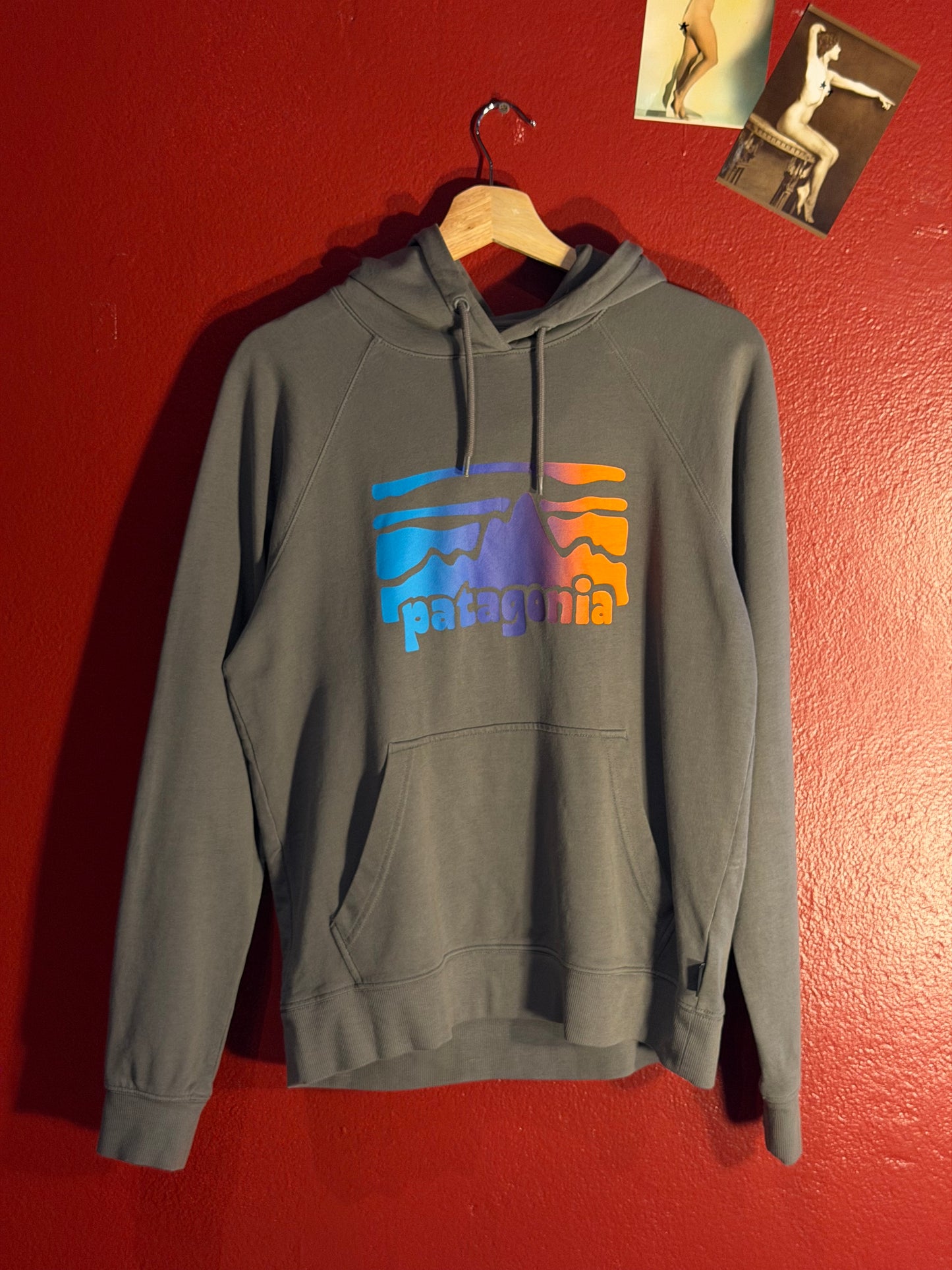Patagonia Charcoal Hoodie [M]