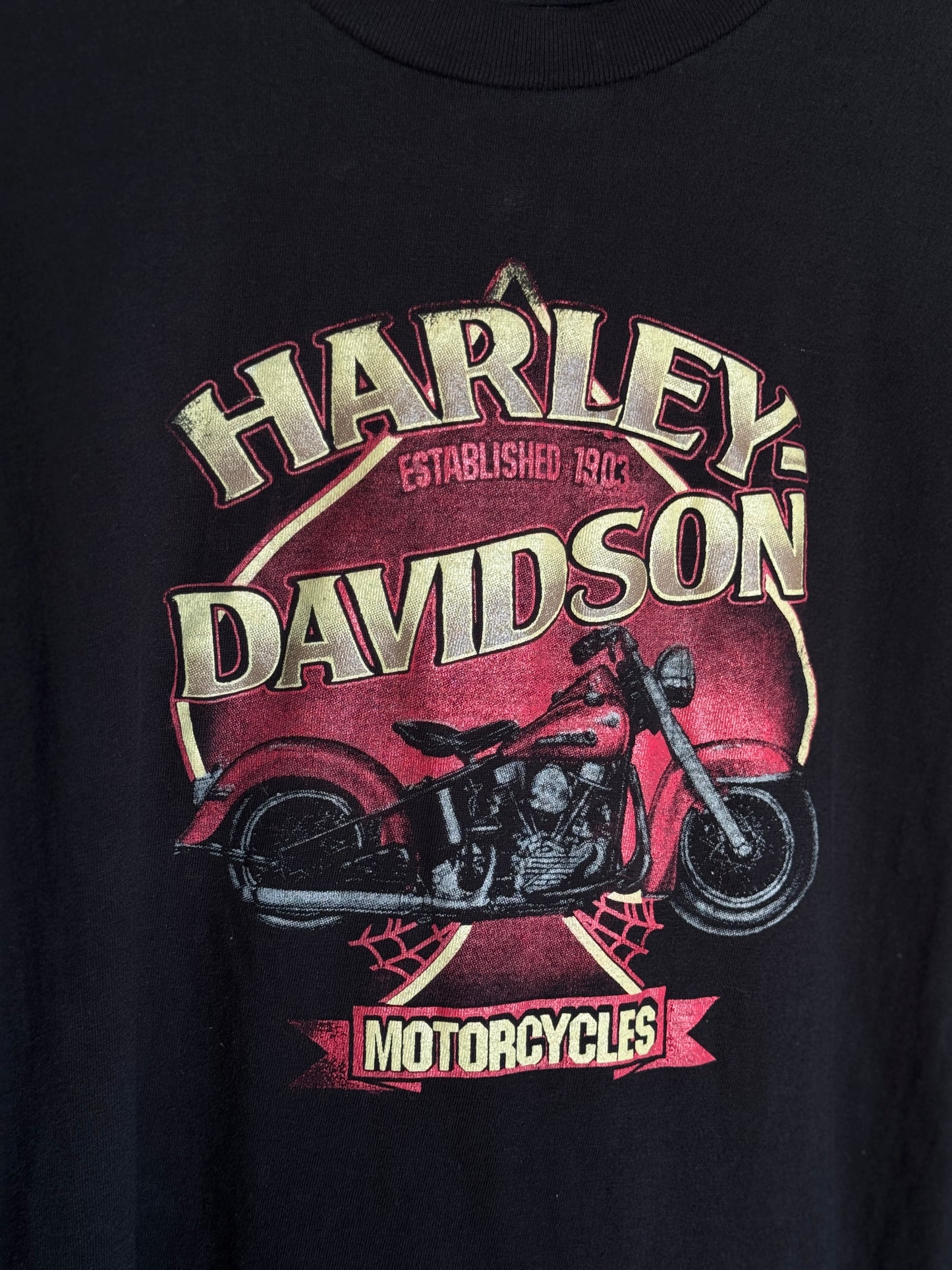 Vintage Harley Davidson Tee [L]