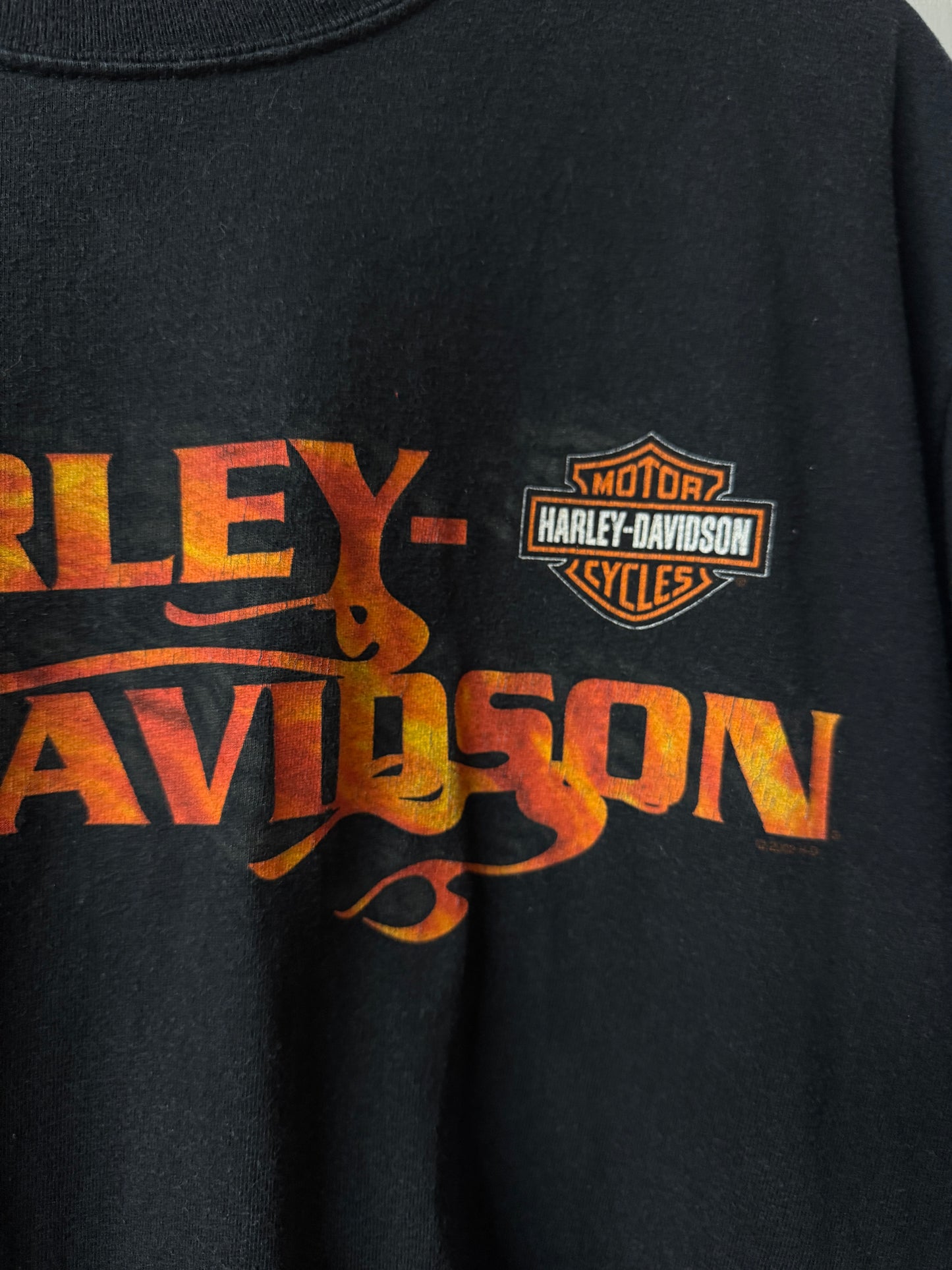 Harley Davidson Saginaw Valley Michigan Graphic T Shirt [L]