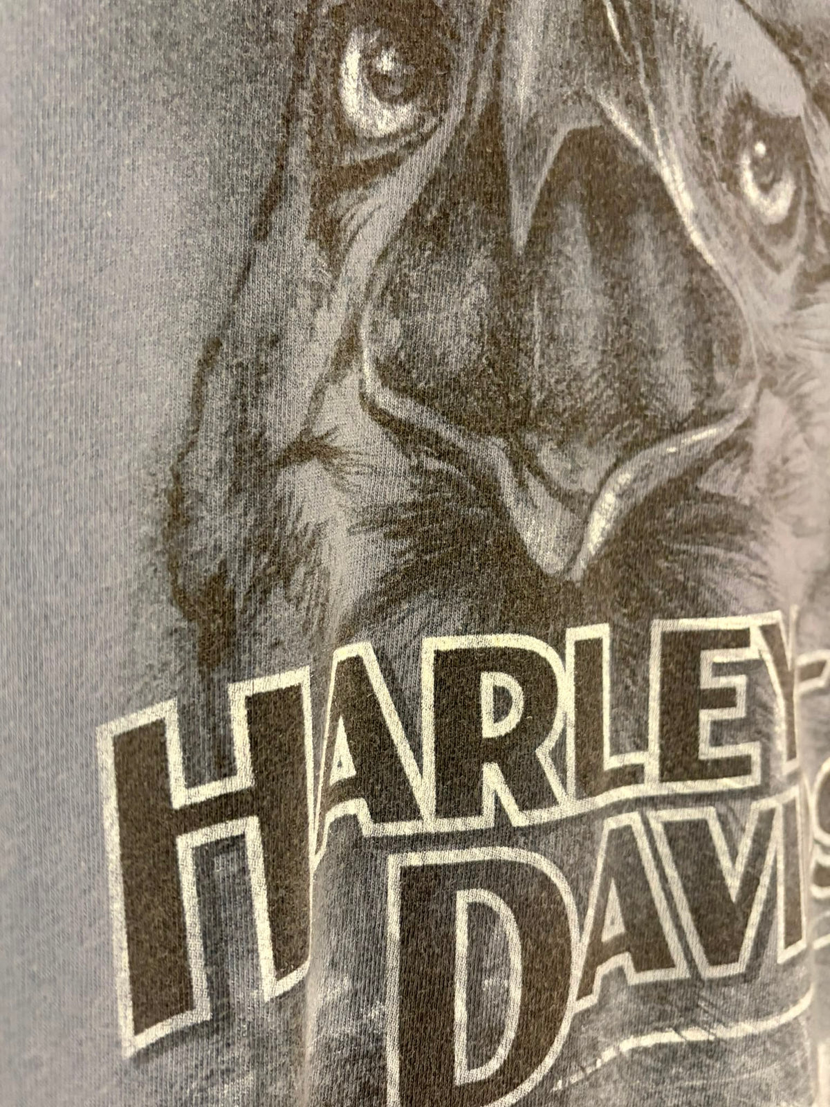 Harley-Davidson Shenandoah Eagle T-Shirt [XL]