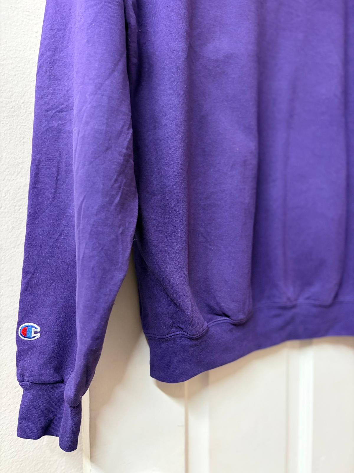 Champion Minnesota State Hoodie [L]
