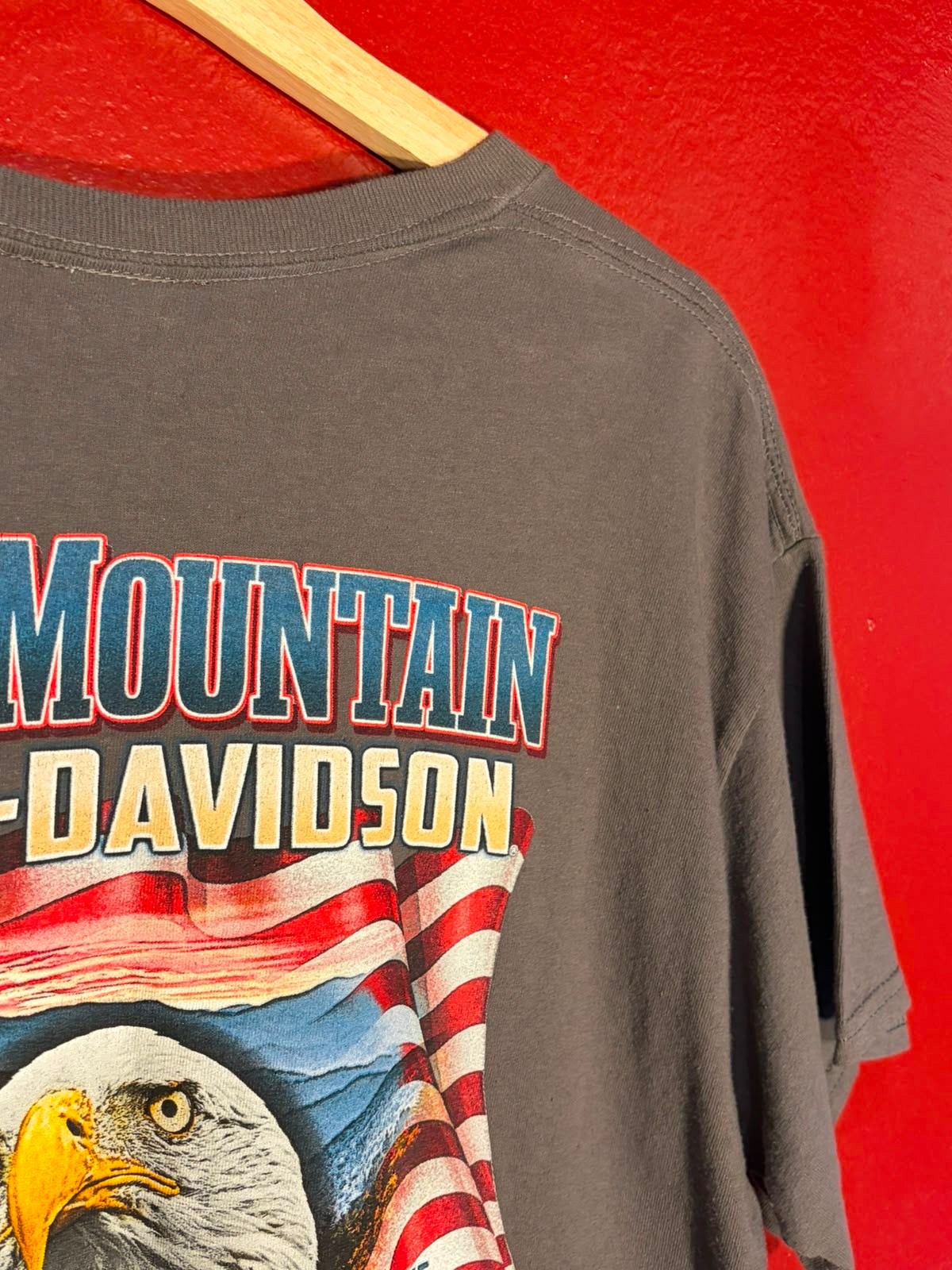 Harley-Davidson Smoky Mountain Graphic T-Shirt [L]