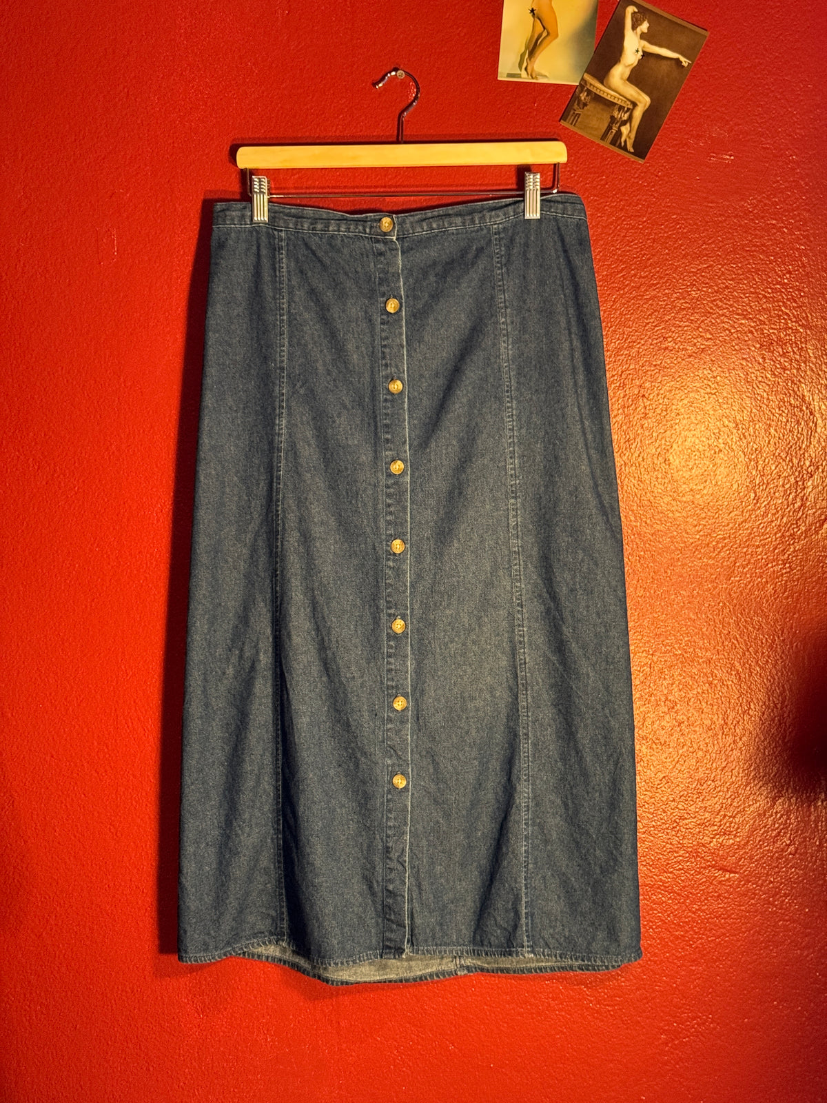 Vintage Mountain Lake Button Front Denim Midi Skirt [M]