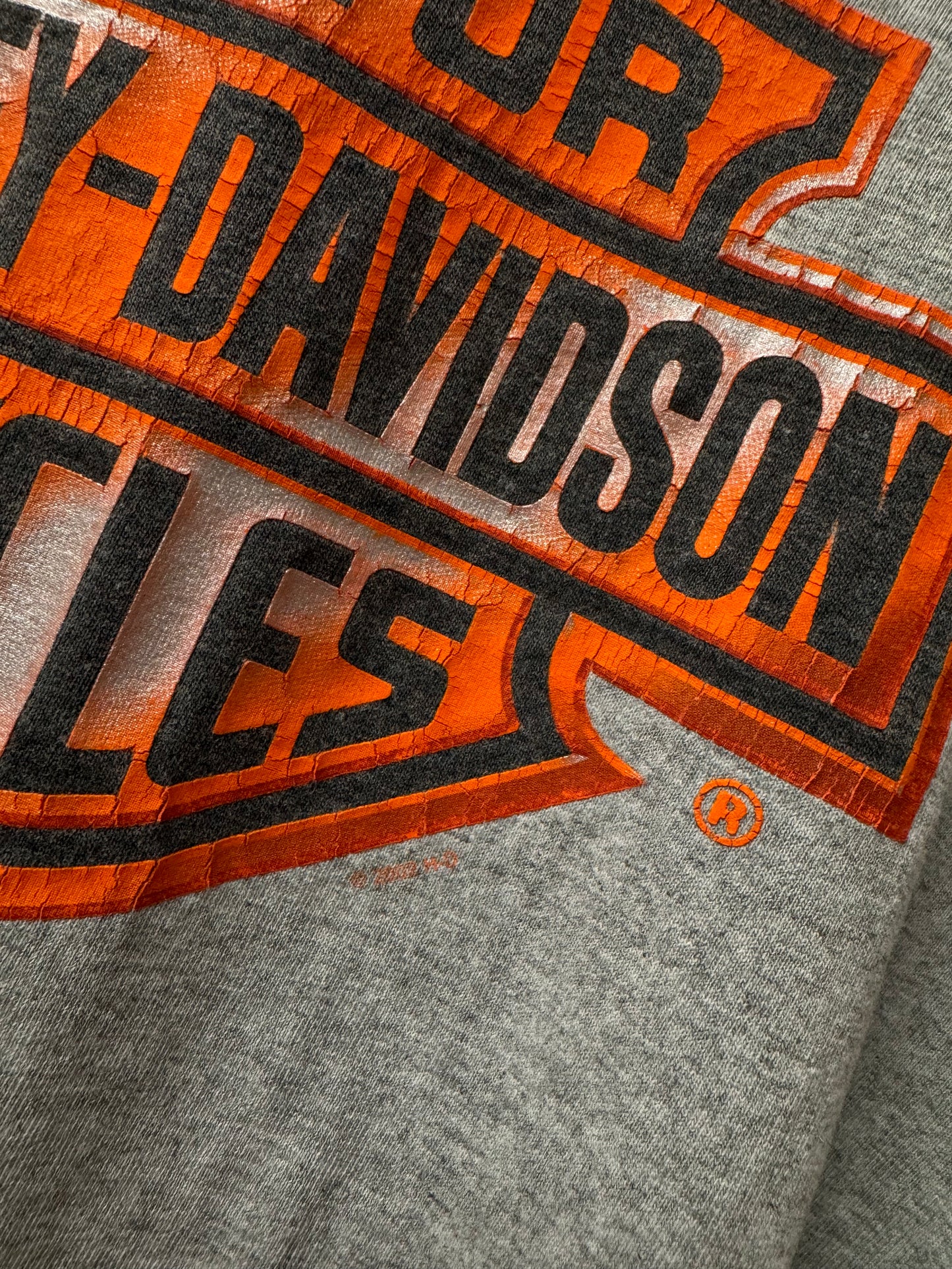 Early 2000s Harley Davidson Muncie ID Graphic Tee / Made in USA [2XL]
