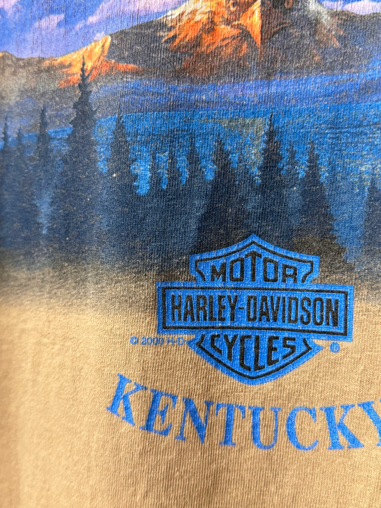 2000 Harley Davidson Prestonsburg Kentucky Long Sleeve Graphic Tee [L]
